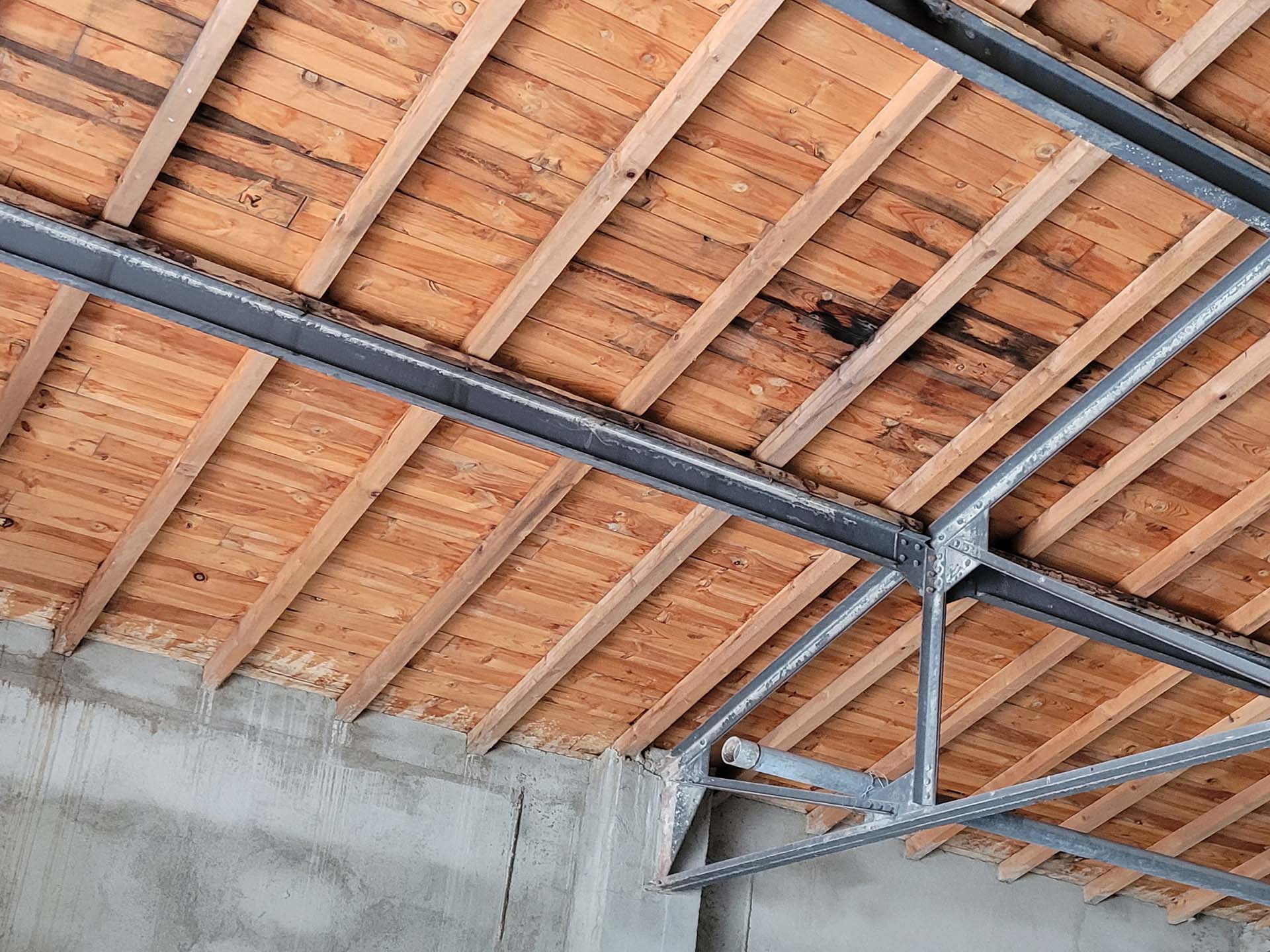 Diagnostic termites avant travaux