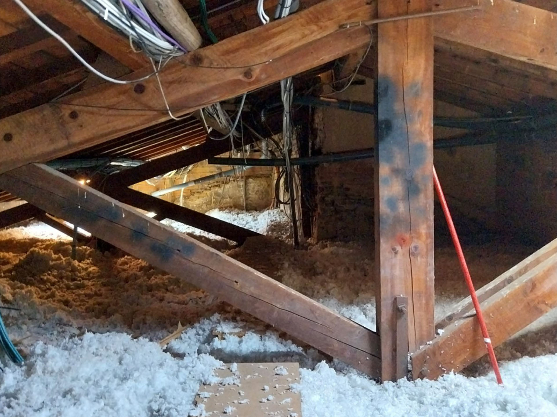 Déroulement du diagnostic termites avant travaux